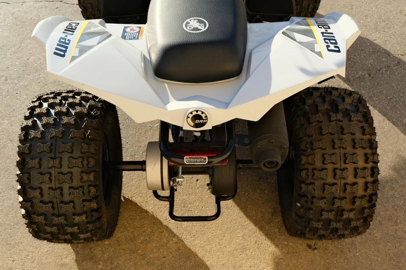NEW 2026 CAN-AM RENEGADE 110 EFI Image 19
