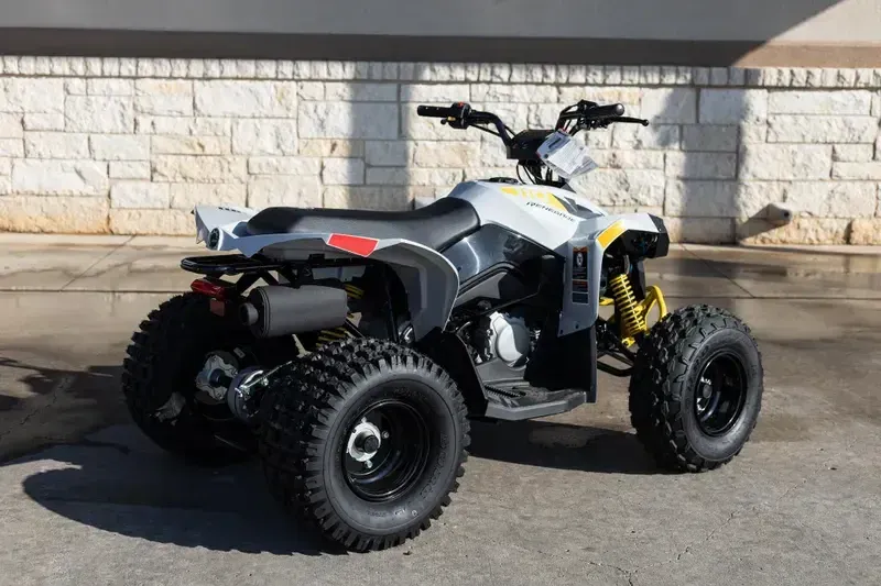 NEW 2026 CAN-AM RENEGADE 110 EFI Image 6