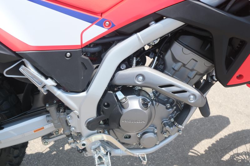 2025 Honda CRF300L ABS RED Image 17