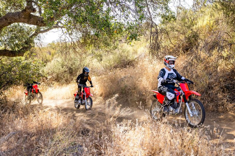 2025 Honda CRF 125F BIG WHEEL 