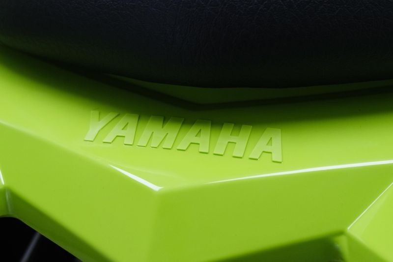 NEW 2026 YAMAHA RAPTOR 110 Image 18