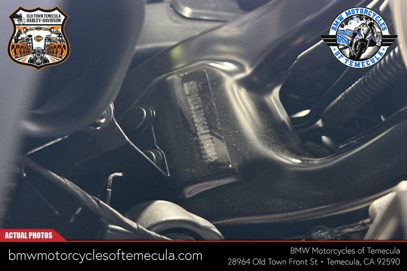 2025 BMW F 900 GSImage 21