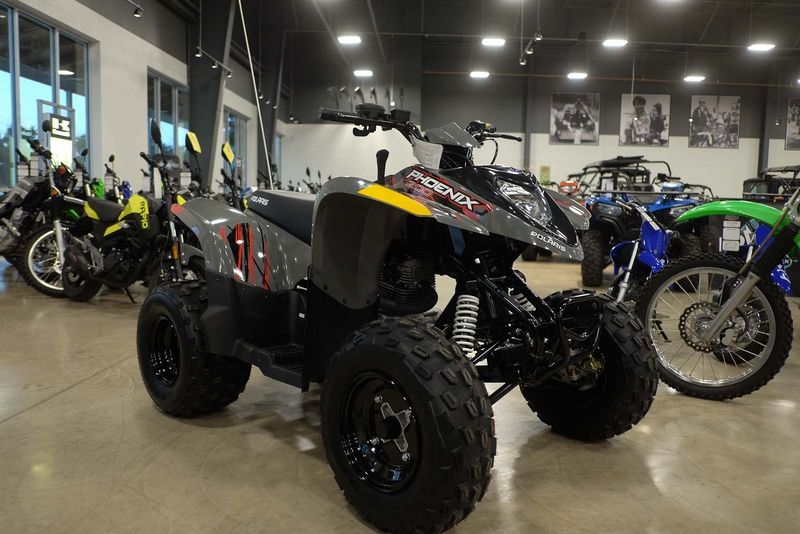 2024 POLARIS PHOENIX 200GRAY49S in a GRAY exterior color. Family PowerSports (877) 886-1997 familypowersports.com 