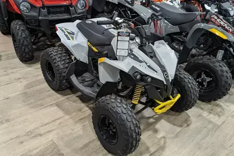 2024 CAN-AM RENEGADE 110 EFI CATALYST GRAY AND NEO YELLOW 