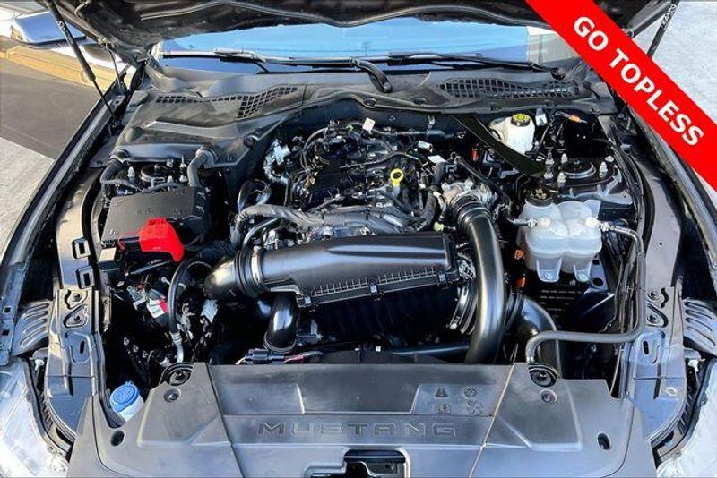 Used 2024 Ford Mustang EcoBoost PremiumImage 8