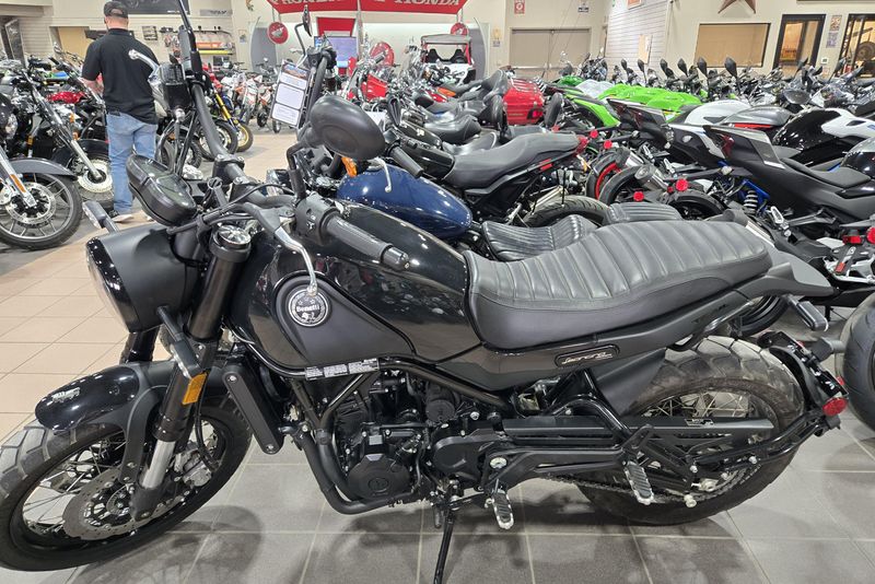 2022 BENELLI LEONCINO 500 
