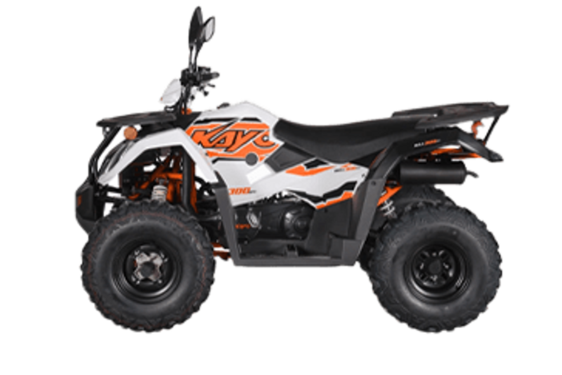 2025 KAYO BULL 300 EFI  WHITE  in a WHITE exterior color. Family PowerSports (877) 886-1997 familypowersports.com 