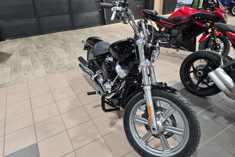 2022 HARLEY SOFTAIL STANDARD 