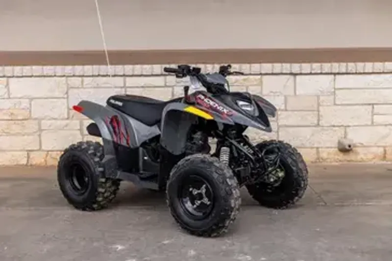 2025 Polaris PHOENIX 200 STORM GRAY Image 1