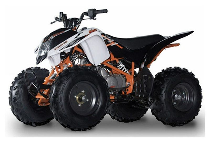 2021 Kayo STORM150  in a White exterior color. New England Powersports 978 338-8990 pixelmotiondemo.com 
