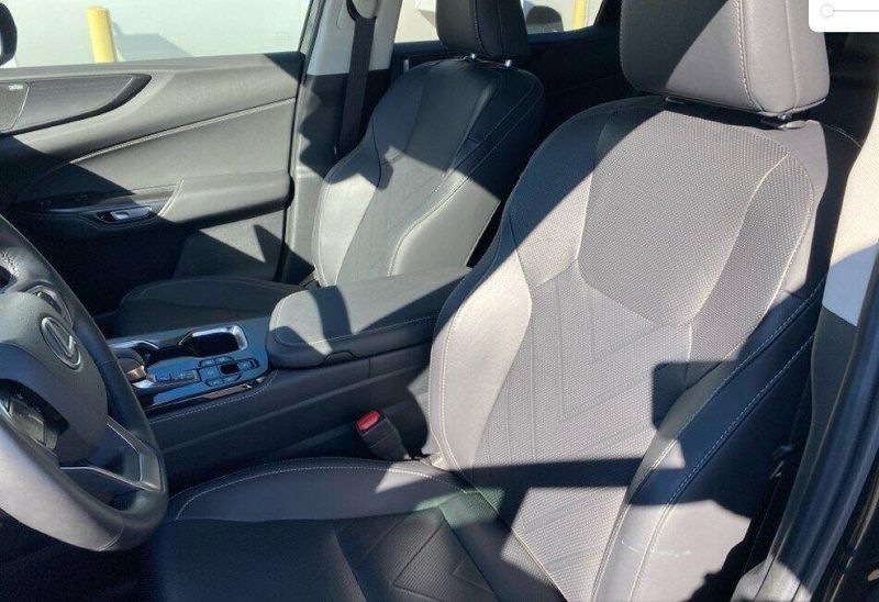 2025 Lexus NX Luxury AWD photo 4