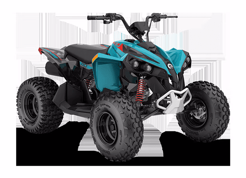 New 2026 Can-Am RENEGADE 110 EFI 