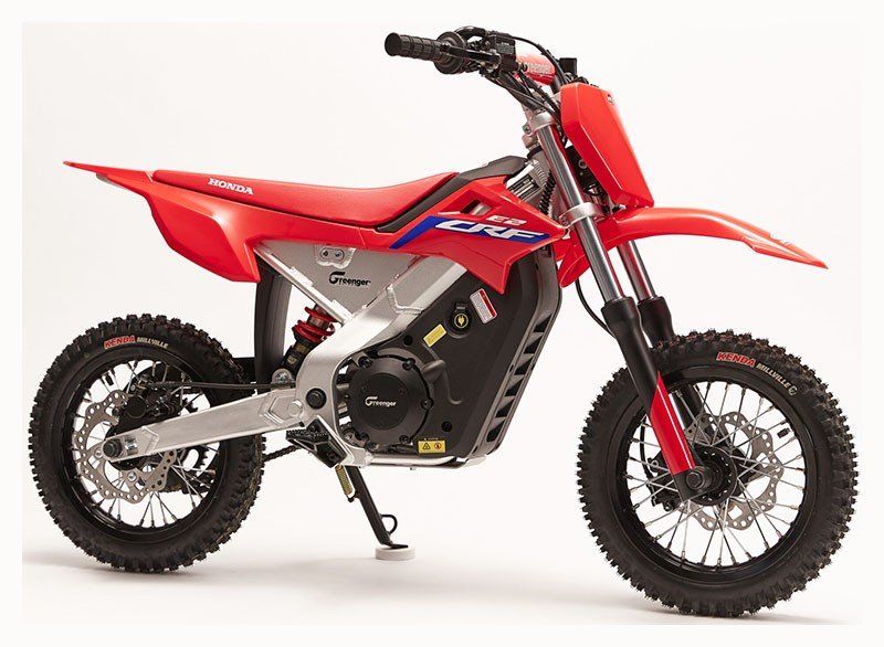 2022 Greenger ELECTRIC BIKE Image 1