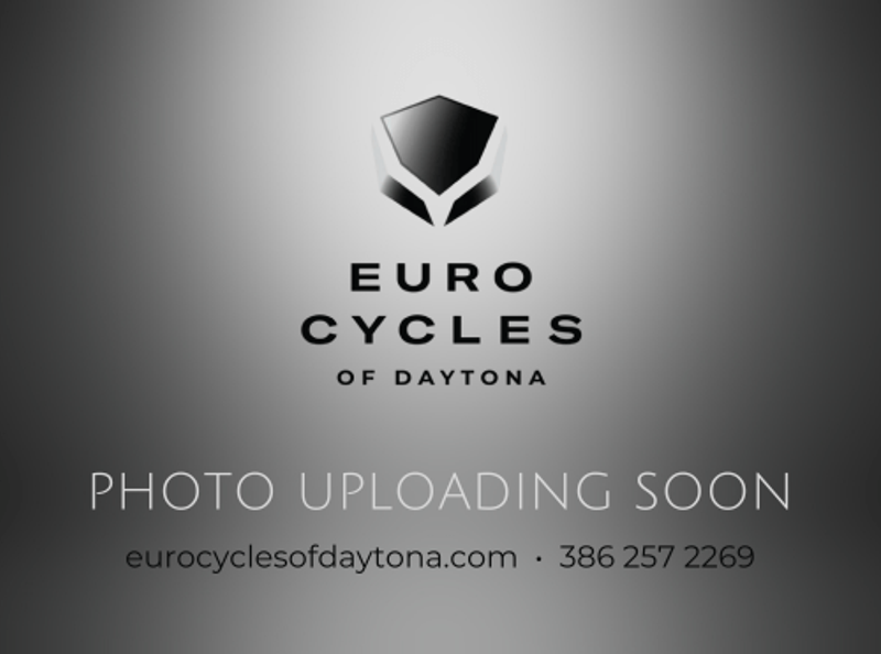 New 2024 Triumph Tiger 900 Euro Cycles of Daytona Ormond Beach, FL