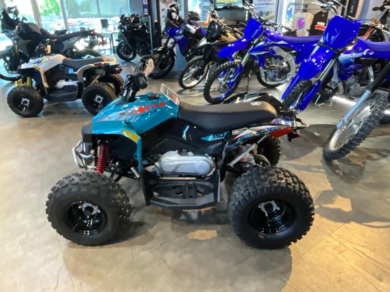New 2026 Can-Am RENEGADE 110 Image 8