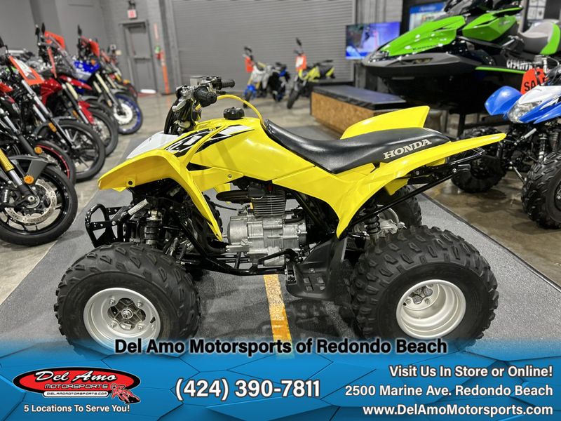 2018 Honda TRX250XImage 20