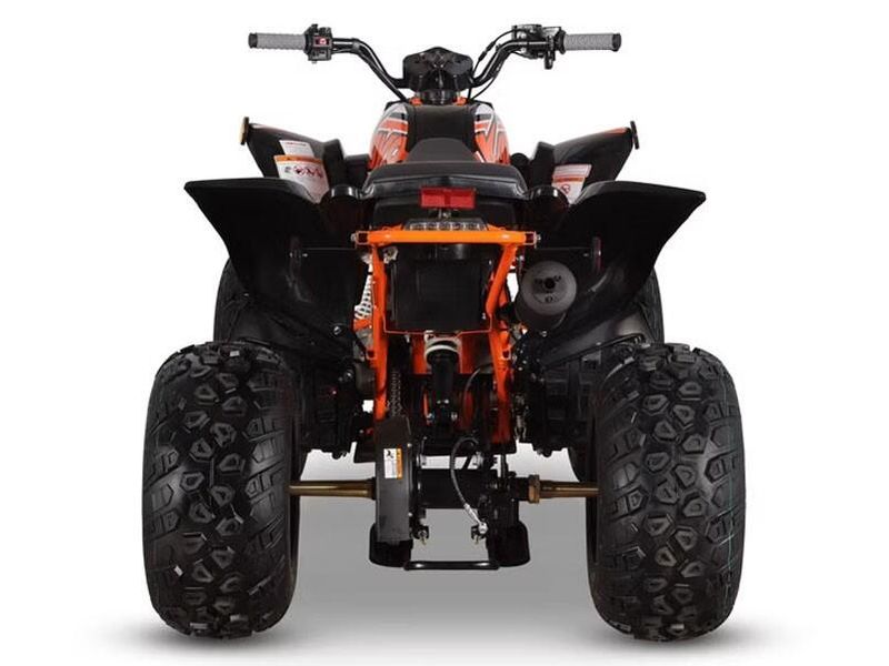 New 2026 Kayo STORM 150 EFI Image 8