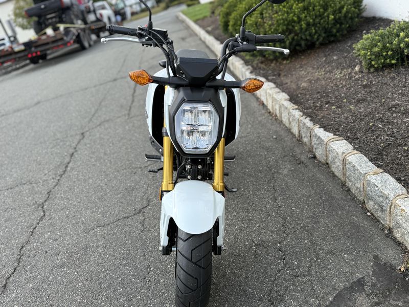 2026 Honda GROM ABSImage 4