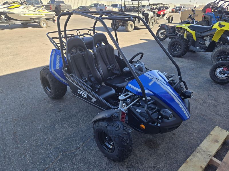 2024 HAMMERHEAD GTS150 BLUE Image 2