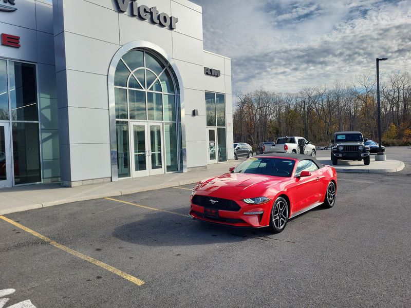 Used 2023 Ford Mustang EcoBoost PremiumImage 1
