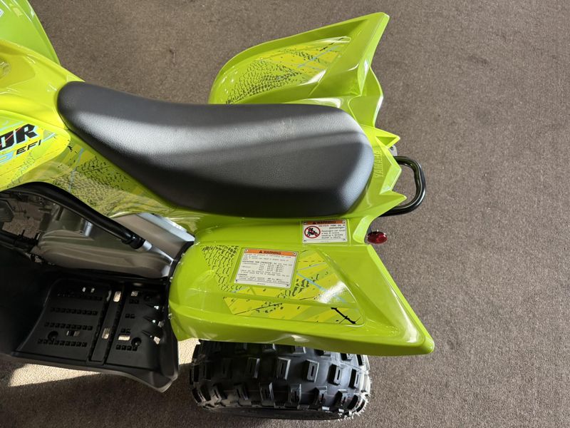 New 2026 Yamaha RAPTOR 110 Image 12