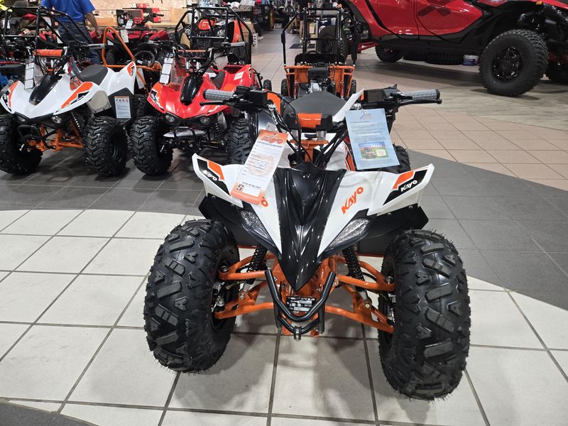 NEW 2025 KAYO PREDATOR 110 Image 7