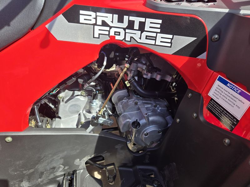 NEW 2026 KAWASAKI BRUTE FORCE 300 Image 14