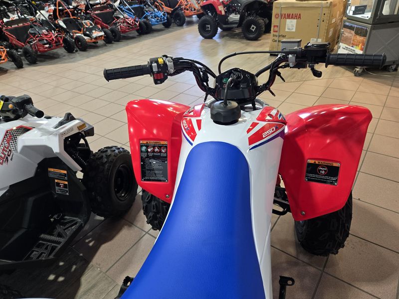 NEW 2026 HONDA TRX 250X Image 15