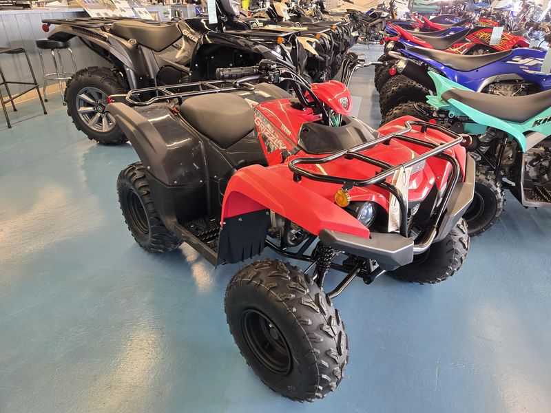 2025 Yamaha GRIZZLY 110 GREY METALLIC AND RED Image 1