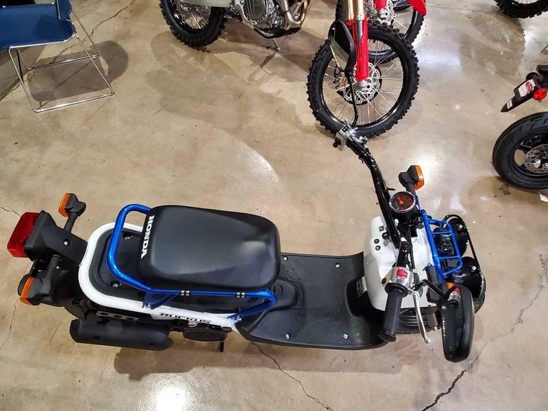 Used 2023 Honda Ruckus Image 12