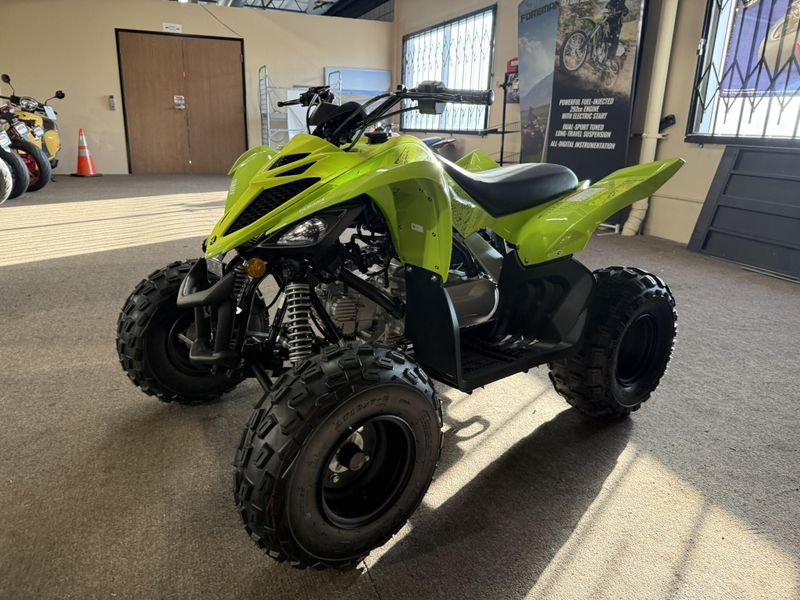 New 2026 Yamaha RAPTOR 110 Image 8