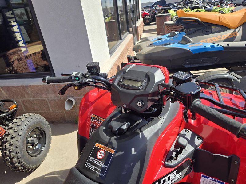 NEW 2026 KAWASAKI BRUTE FORCE 300 Image 9