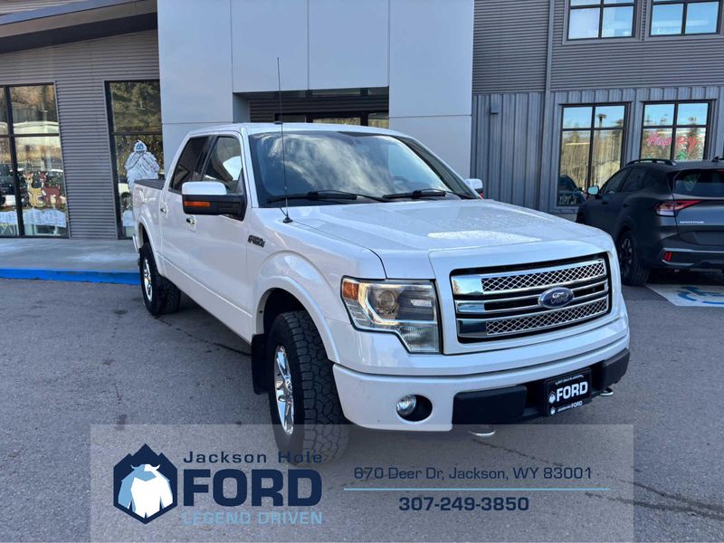 2014 Ford F-150 Platinum photo 3