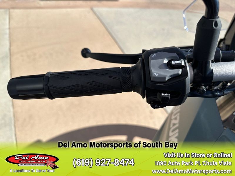 2024 Suzuki DL800RQM4  in a GREEN exterior color. Del Amo Motorsports of South Bay (619) 547-1937 delamomotorsports.com 