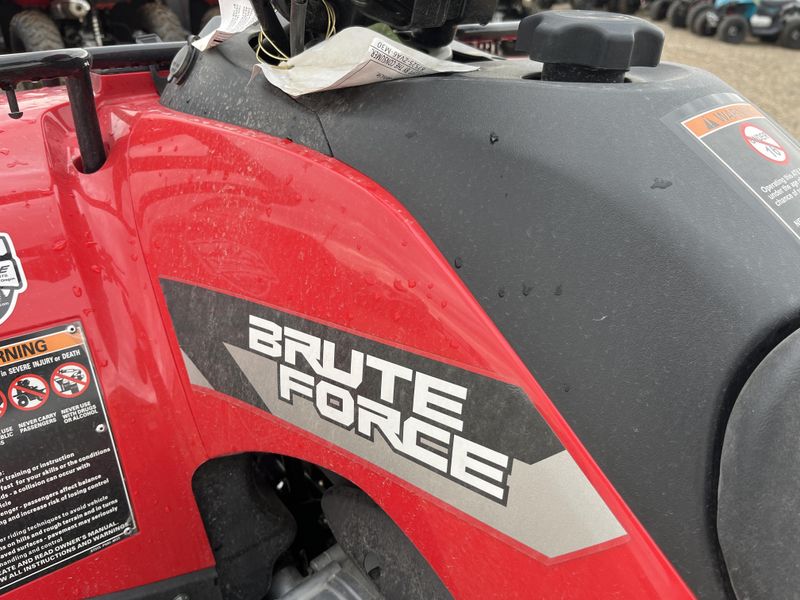 New 2026 Kawasaki BRUTE FORCE 300 