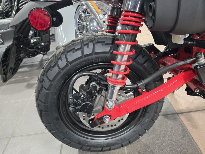 NEW 2025 HONDA MONKEY ABS Image 17