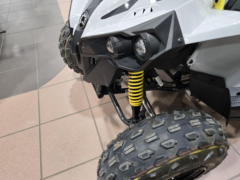 2025 Can-Am RENEGADE 70 EFI CATALYST GRAY AND NEON YELLOWImage 9