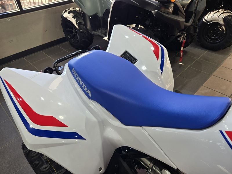 NEW 2026 HONDA TRX250X Image 13