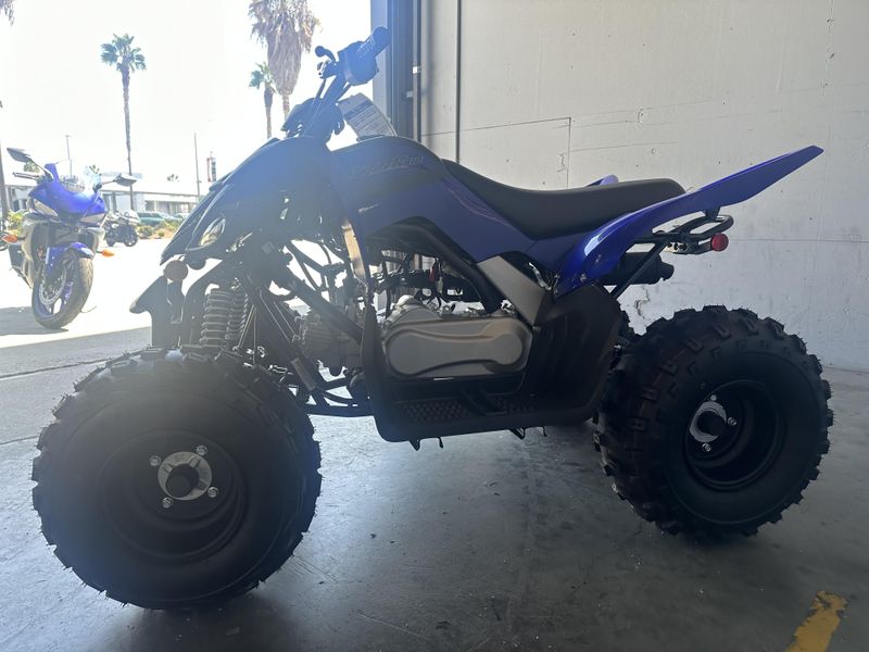 2025 Yamaha RAPTOR 110 Image 5