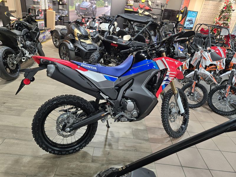 NEW 2025 HONDA CRF300L RALLY ABS Image 3