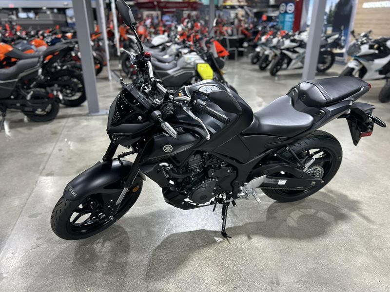 2025 Yamaha MT-03 Image 17