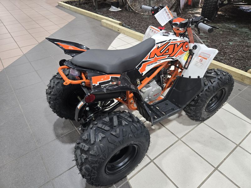 NEW 2025 KAYO PREDATOR 110 Image 6