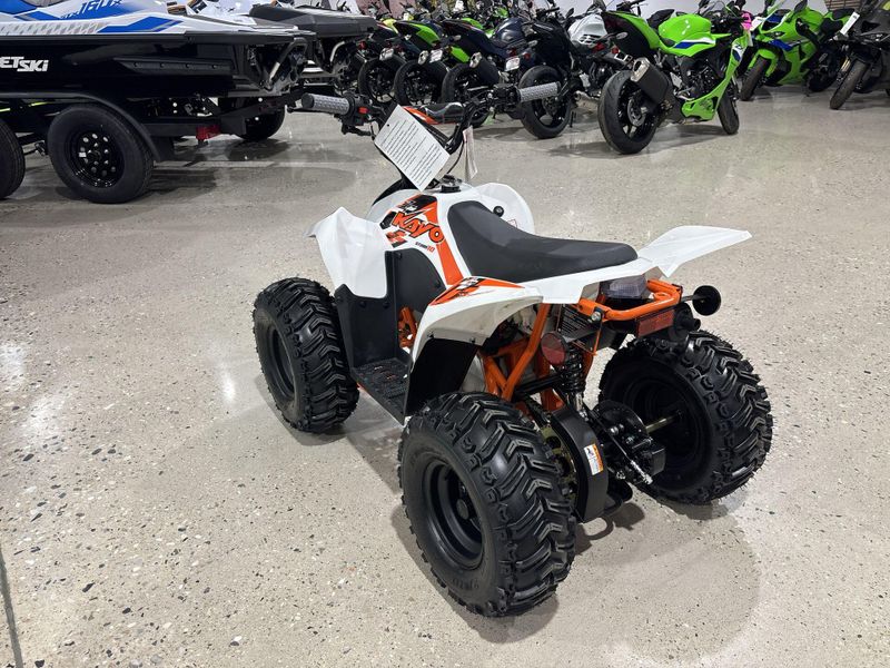 New 2026 Kayo STORM 70  in a WHITE exterior color. Victorville Del Amo Motorsports 760-241-7387 delamomotorsportsofvictorville.com 