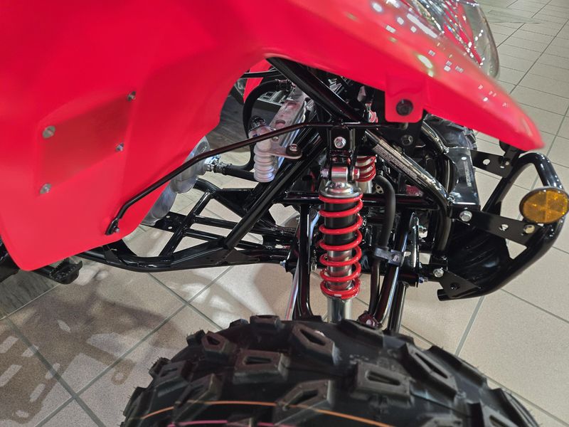 NEW 2026 HONDA TRX 250X Image 18