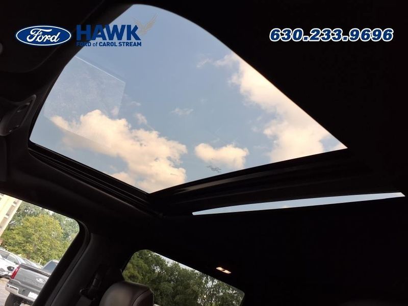 2020 Ford F-150 Platinum photo 9