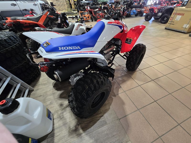 NEW 2026 HONDA TRX 250X Image 7