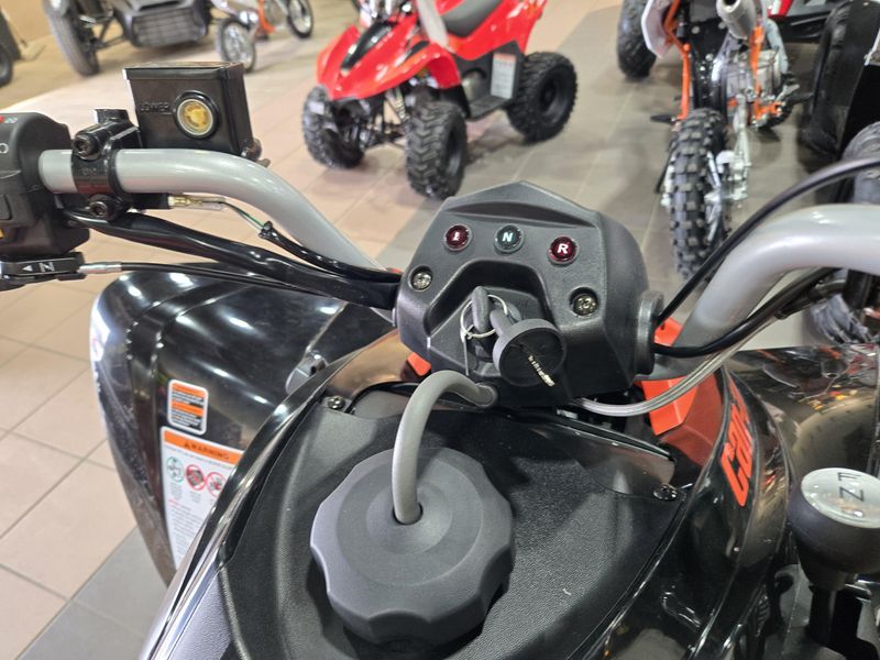 NEW 2026 CAN-AM DS 250 Image 13