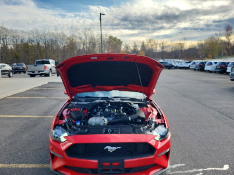 Used 2023 Ford Mustang EcoBoost PremiumImage 22