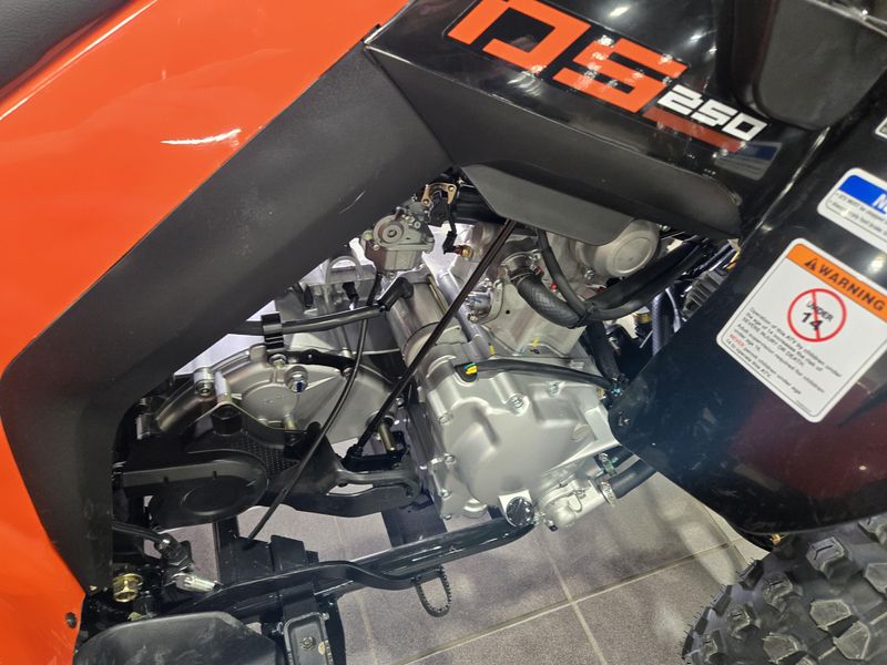 NEW 2026 CAN-AM DS 250 Image 10