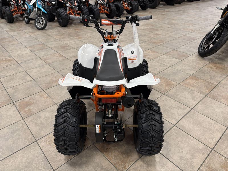 New 2026 Kayo STORM 70 Image 14